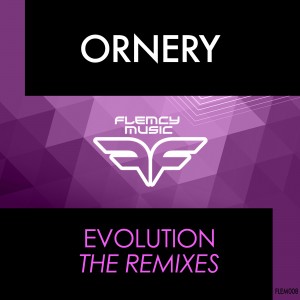 Flemcy Square Ornery - Evolution Remixes